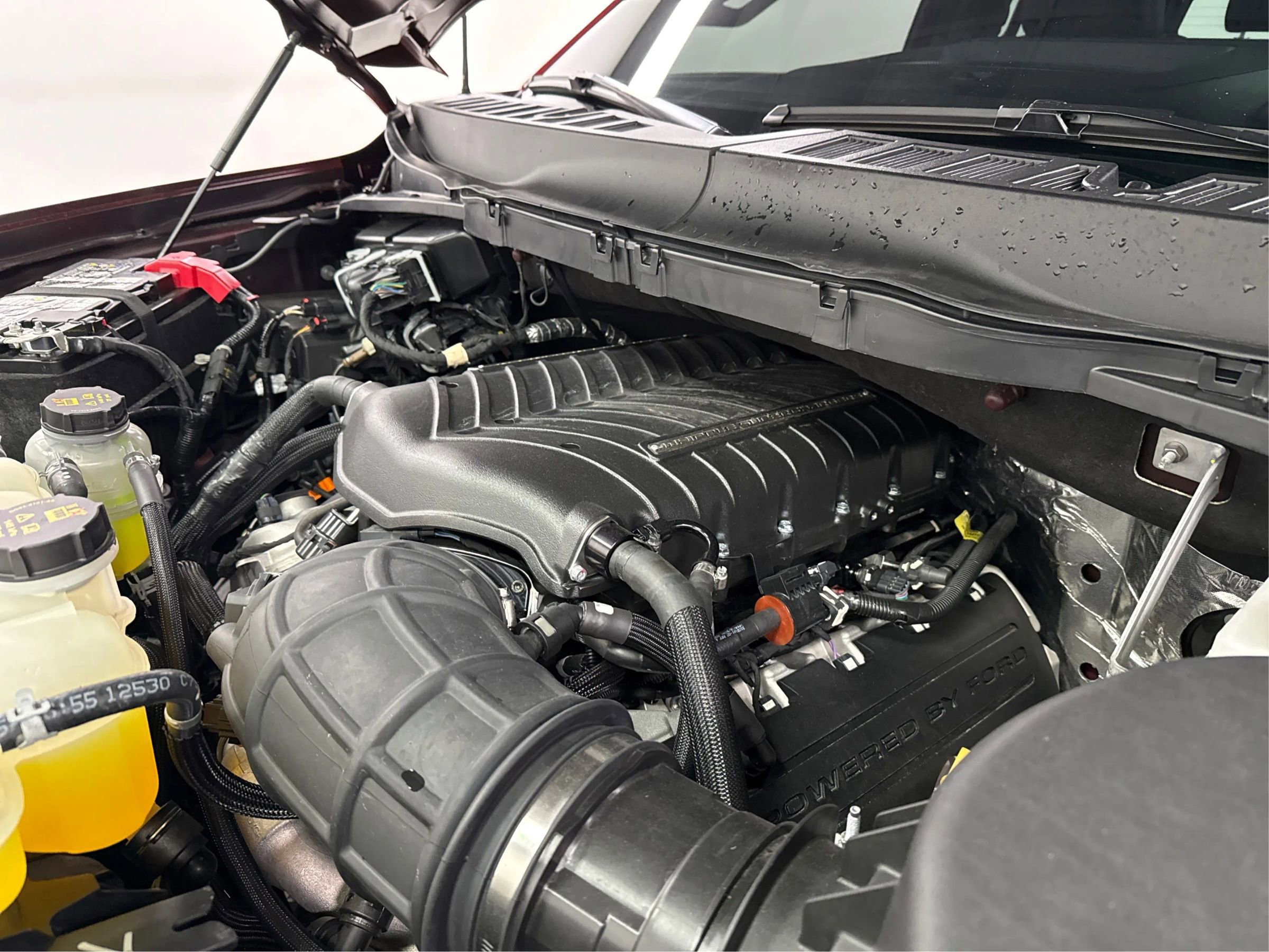 Used 2025 Ford F150 Raptor w/ Equipment Group 803A Raptor R image 1