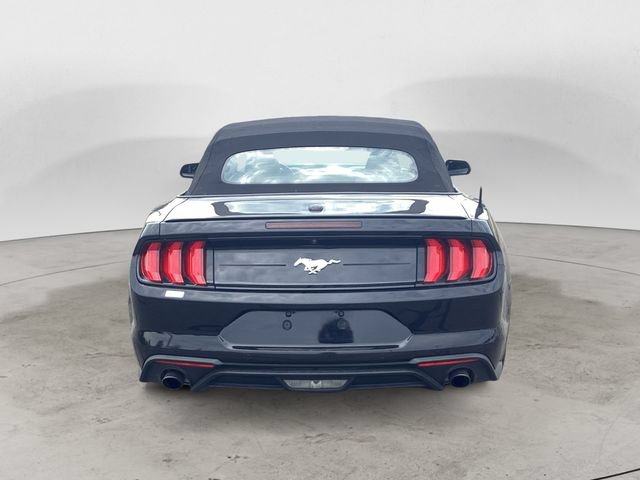 Used 2022 Ford Mustang Premium RWD image 4