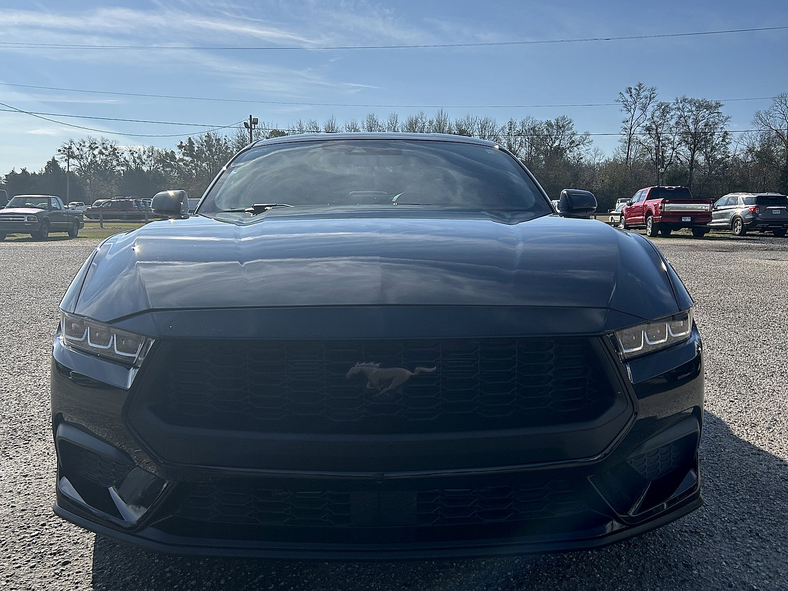 Used 2024 Ford Mustang Premium image 3