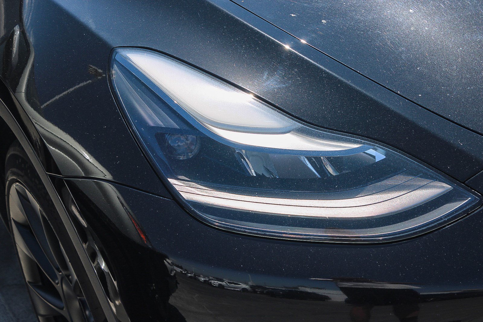 Used 2023 Tesla Model Y Long Range AWD/4WD image 2