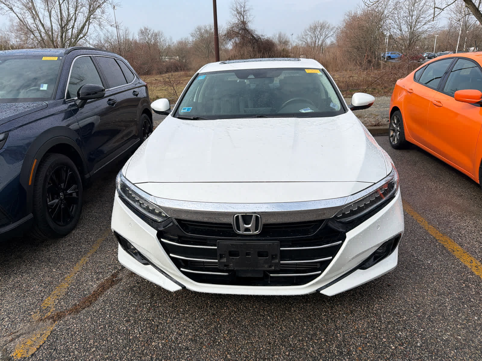 Used 2021 Honda Accord EX-L image 6