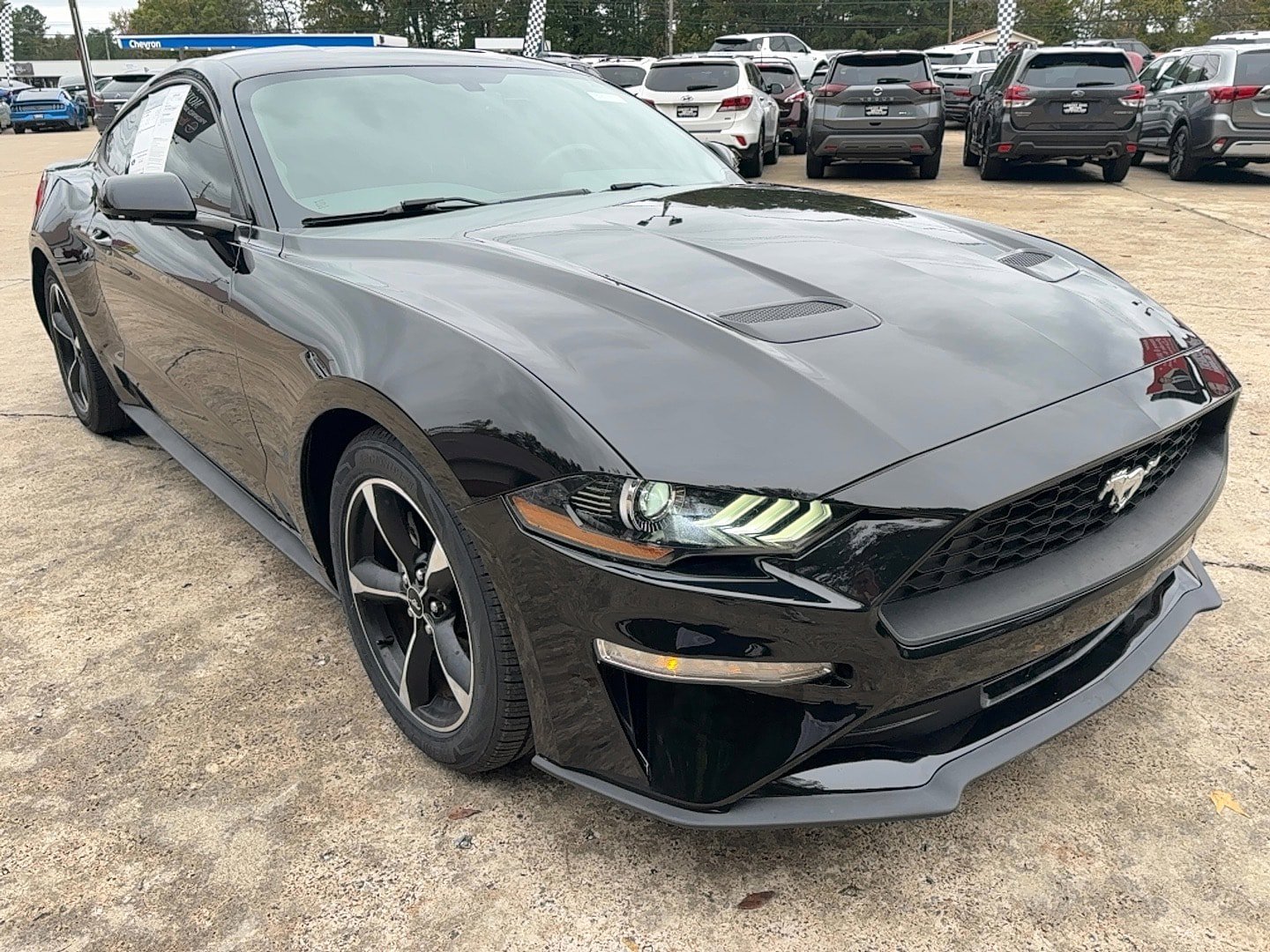 Used 2019 Ford Mustang Coupe RWD image 3