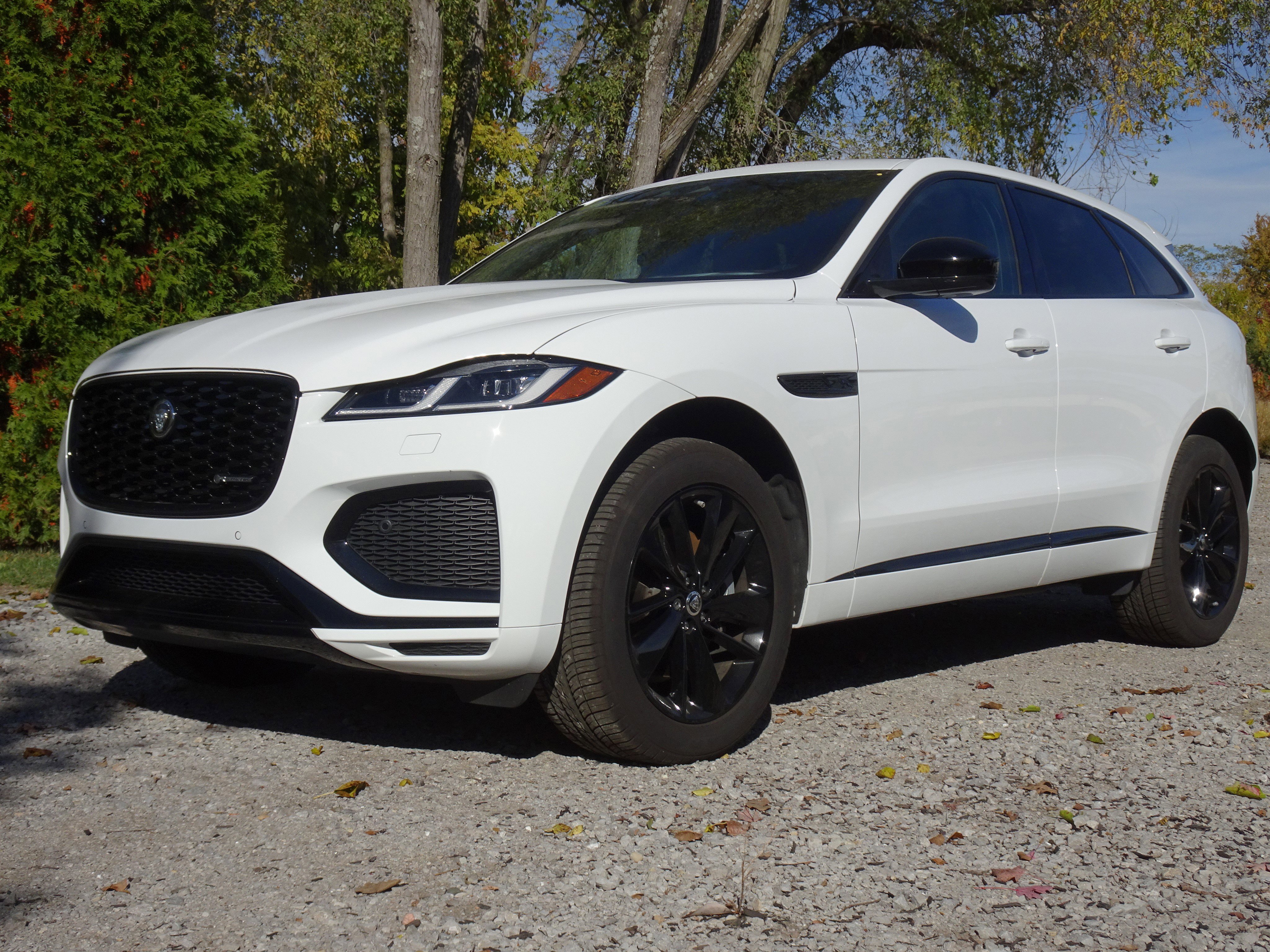 Certified 2025 Jaguar F-PACE R-Dynamic S image 7