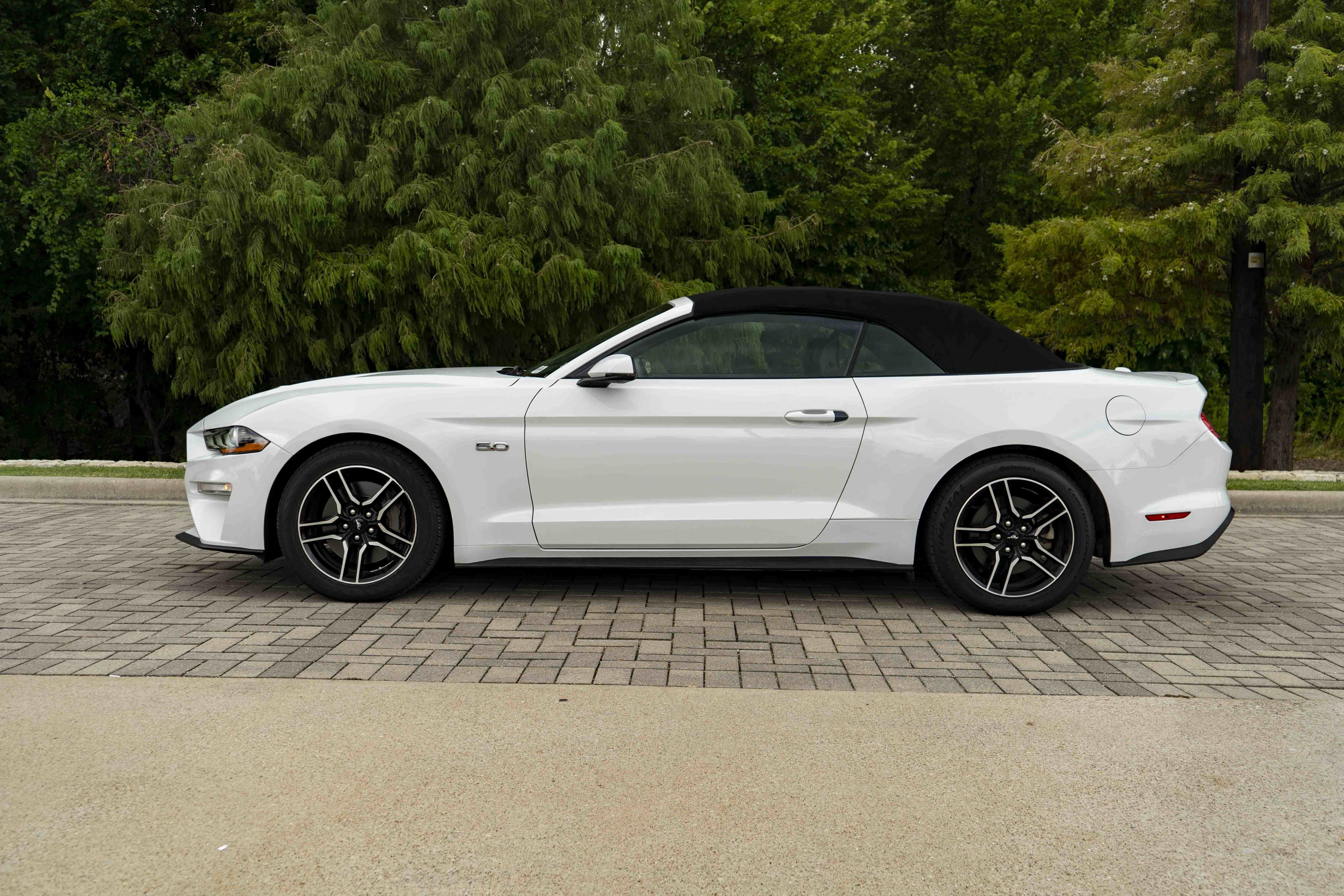 Used 2019 Ford Mustang GT Premium RWD image 6