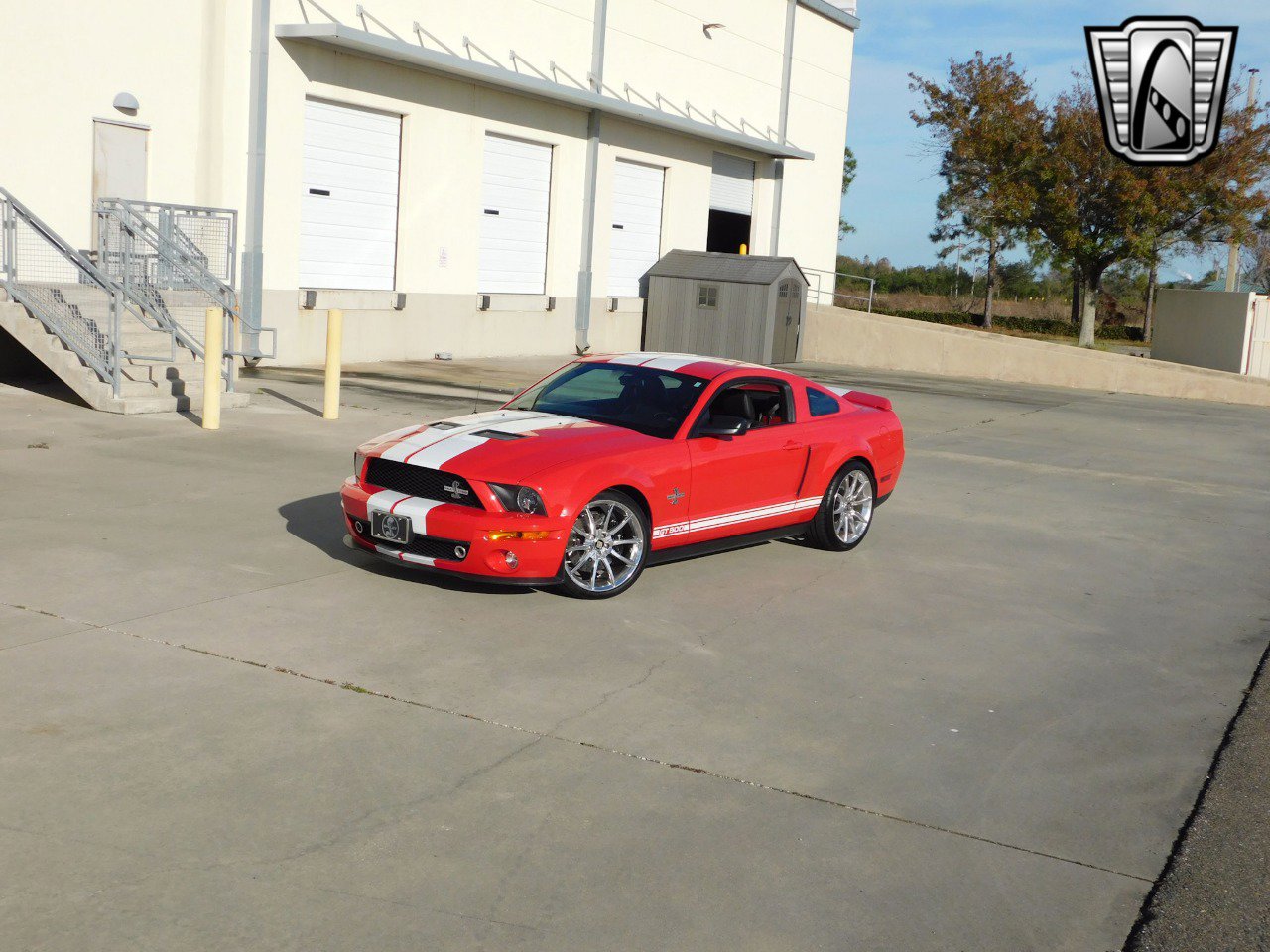 Used 2008 Ford Mustang Shelby GT500 image 2
