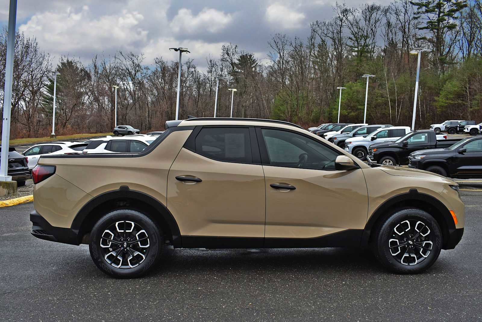 Used 2024 Hyundai Santa Cruz SEL w/ Activity Package image 6