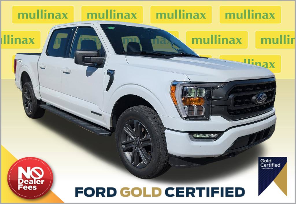 Used 2023 Ford F150 XLT w/ Equipment Group 302A High