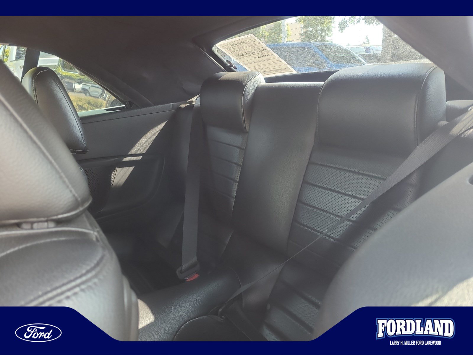 Used 2008 Ford Mustang Shelby GT500 RWD image 17
