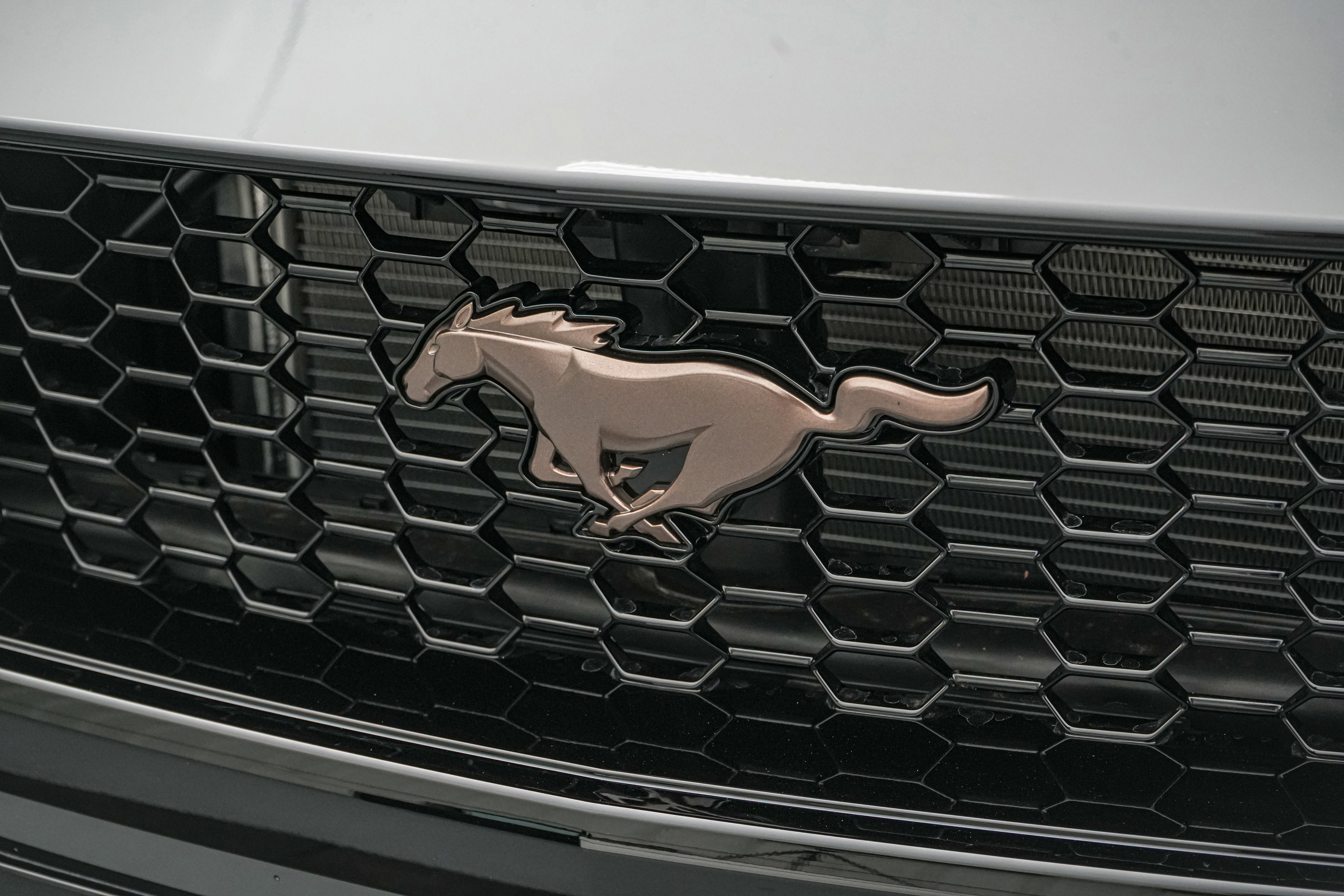 New 2026 Ford Mustang GT RWD image 19