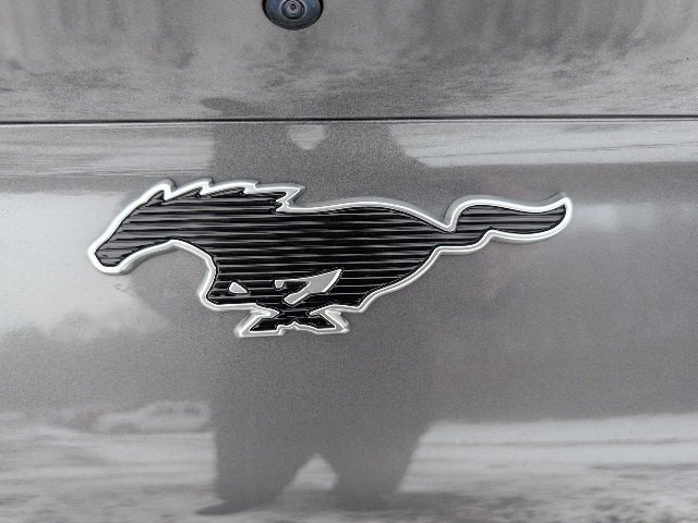 Used 2021 Ford Mustang Mach-E Select w/ Comfort/Technology Package image 28