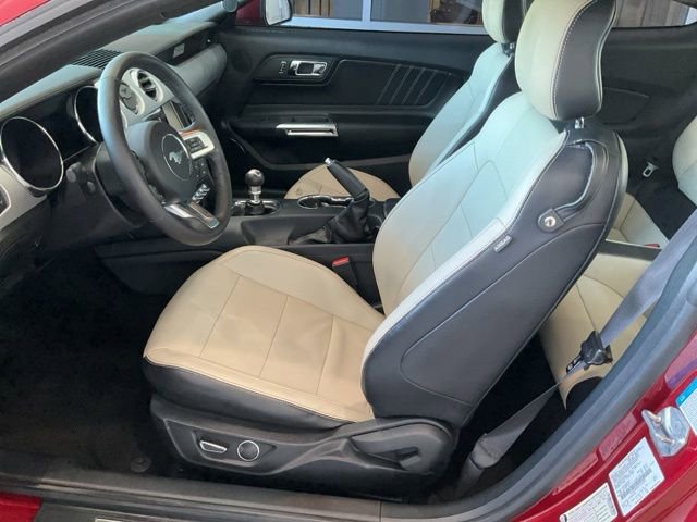 Used 2015 Ford Mustang Premium w/ Equipment Group 201A RWD image 4