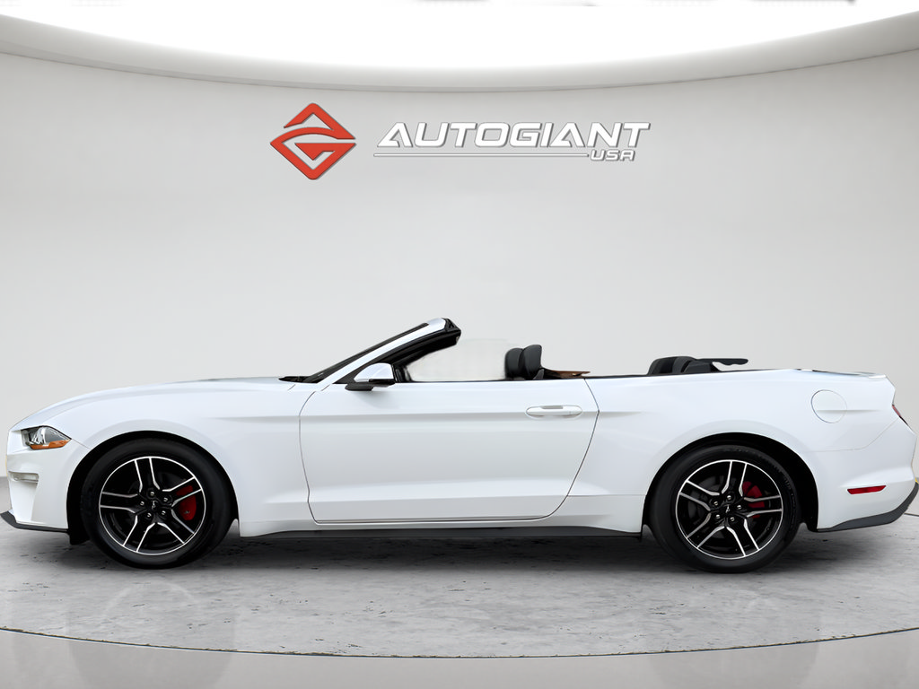 Used 2019 Ford Mustang Premium RWD image 6