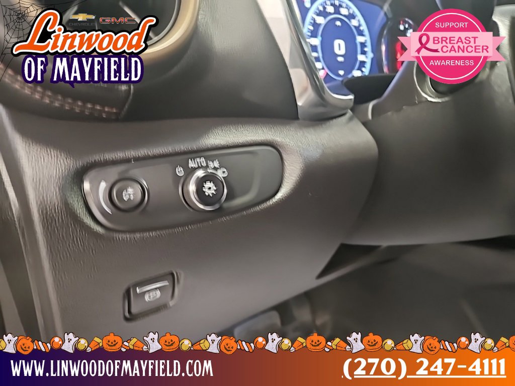 Used 2024 Chevrolet Blazer Premier image 19