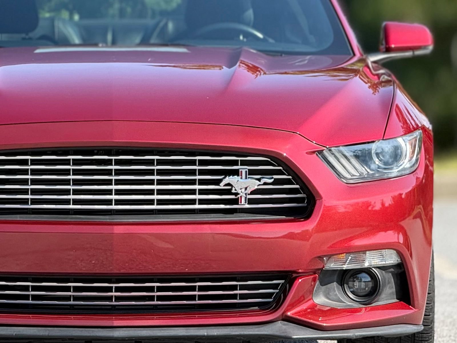 Used 2017 Ford Mustang Premium w/ Pony Package RWD image 15