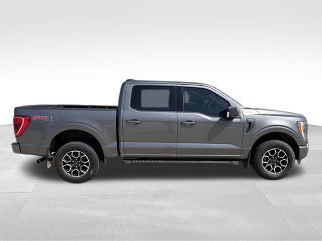 Used 2023 Ford F150 XLT w/ Equipment Group 302A High AWD/4WD image 7