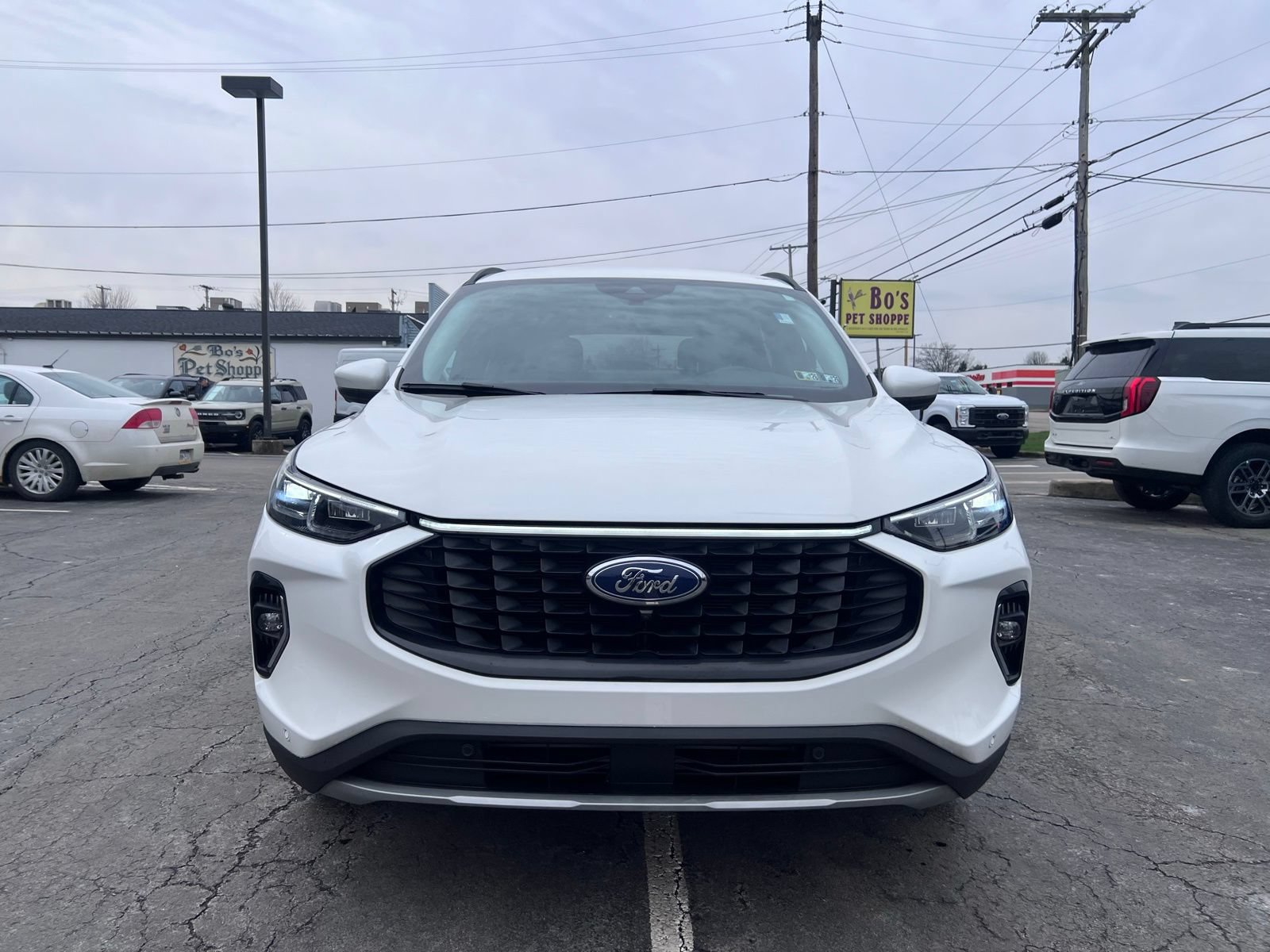 Used 2023 Ford Escape Platinum AWD/4WD image 3