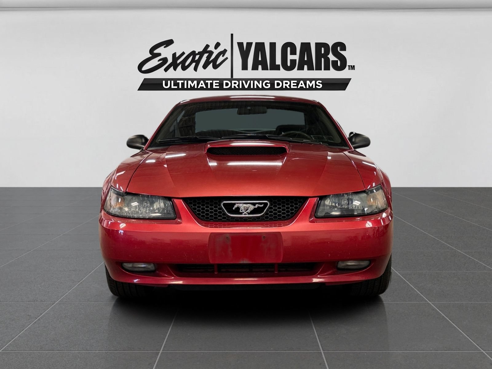 Used 2000 Ford Mustang GT RWD image 8