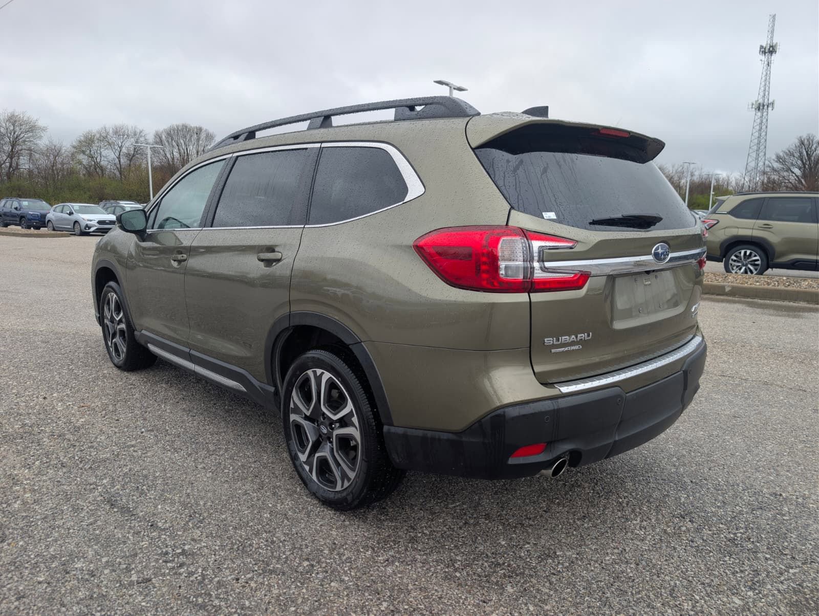 Certified 2026 Subaru Ascent Limited image 3