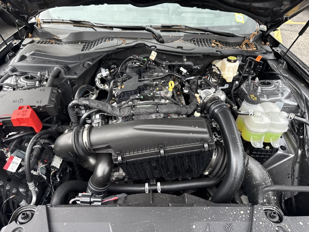 New 2026 Ford Mustang Coupe RWD image 21