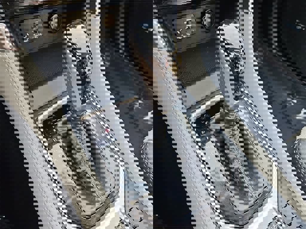 Used 2021 Subaru Forester Limited image 12