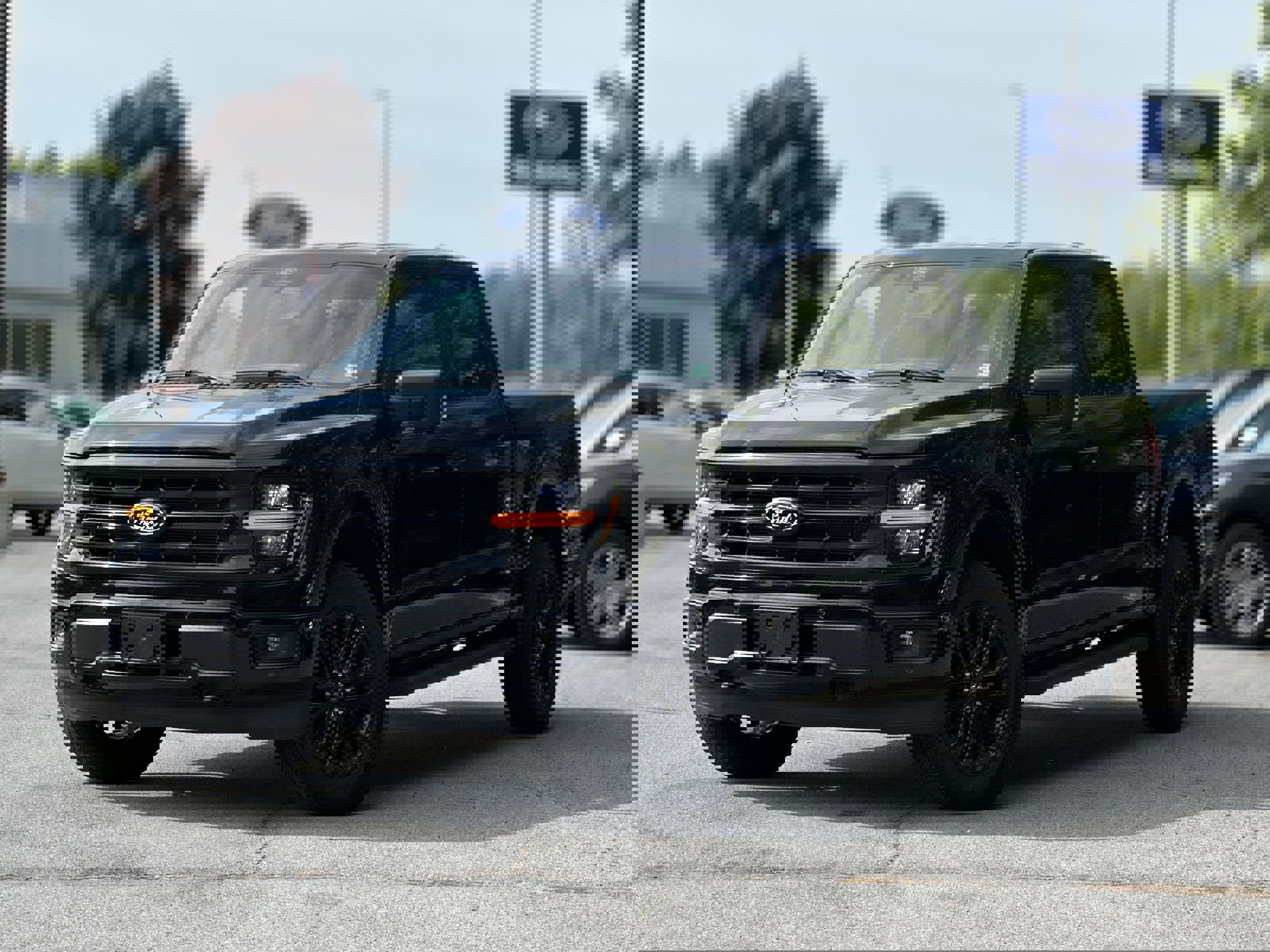 New 2025 Ford F150 XLT w/ Equipment Group 303A High