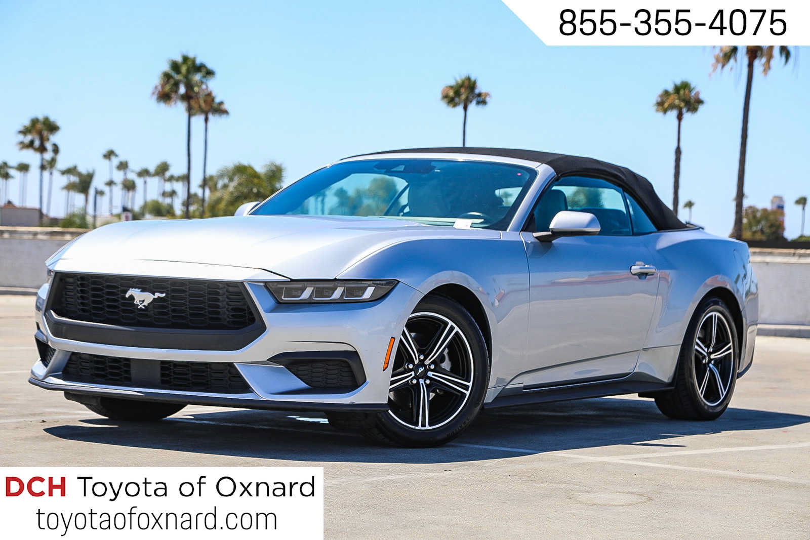Used 2024 Ford Mustang Premium