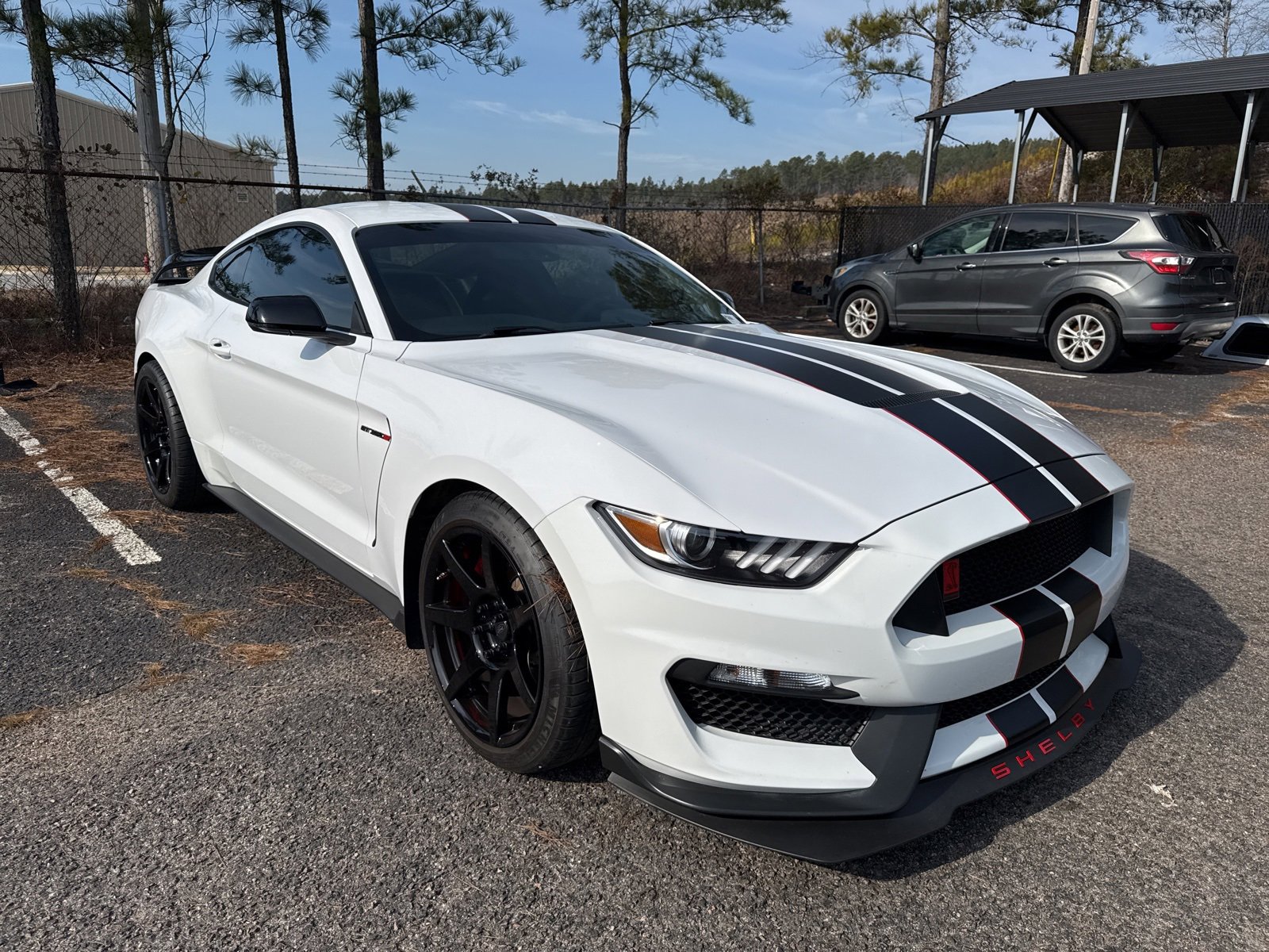 Used 2017 Ford Mustang Shelby GT350R w/ GT350R Equipment Group 920A image 1