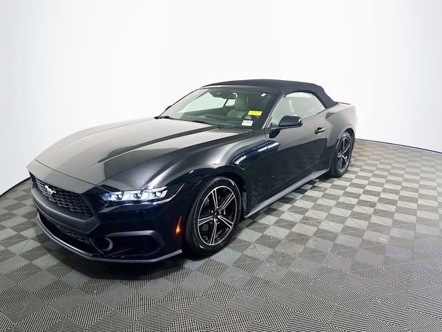 Used 2024 Ford Mustang Premium RWD image 4