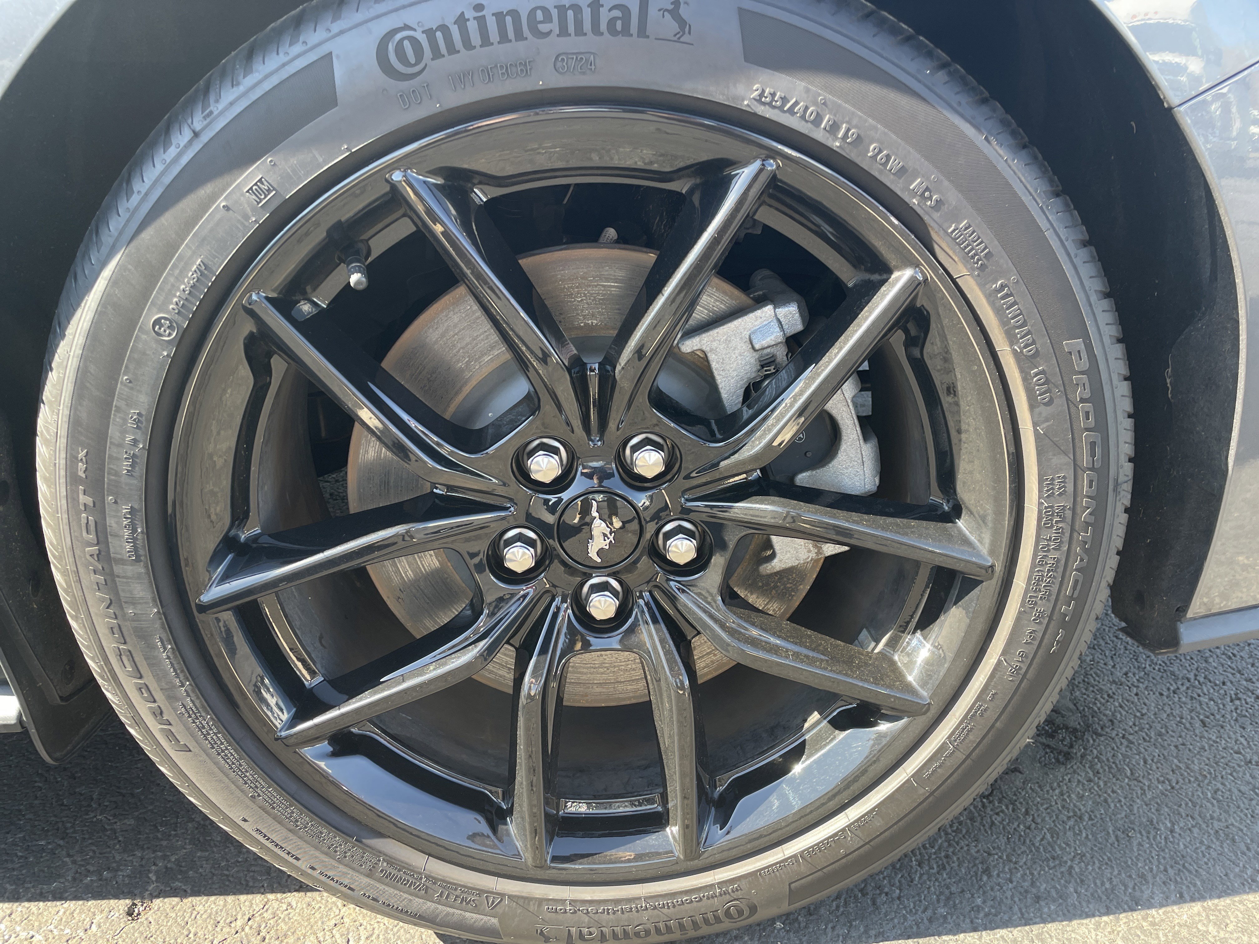 Used 2025 Ford Mustang GT Premium image 19