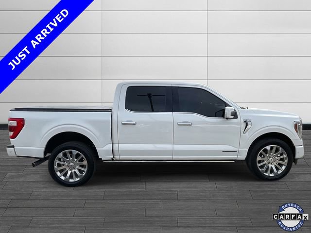 Used 2021 Ford F150 Limited image 2