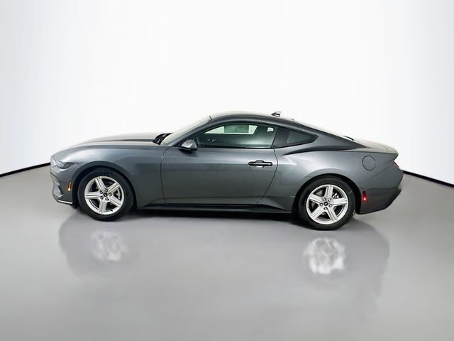 New 2026 Ford Mustang Coupe image 4