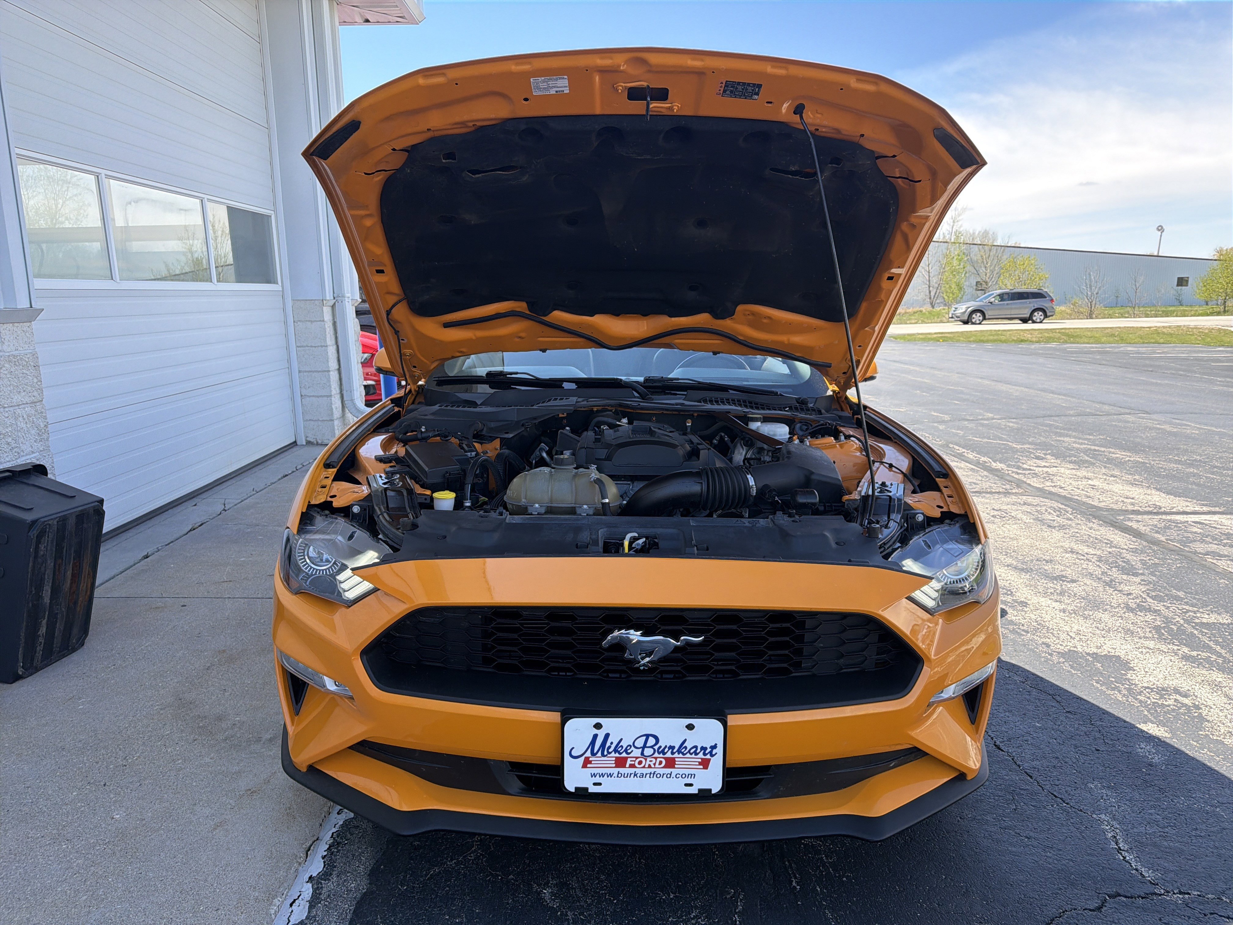 Used 2018 Ford Mustang Premium w/ Equipment Group 201A RWD image 56