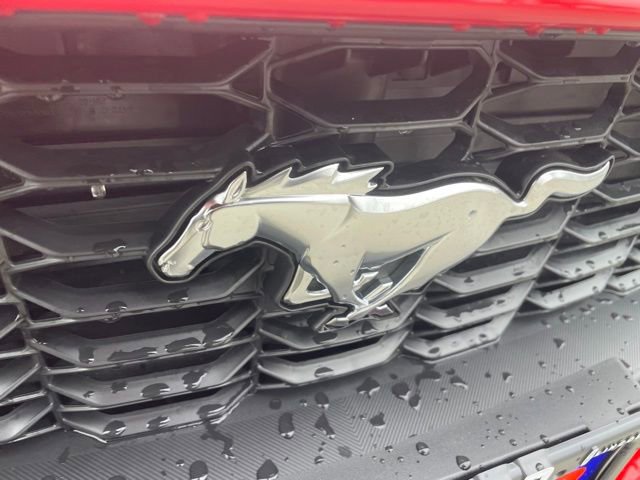 New 2026 Ford Mustang Coupe image 26