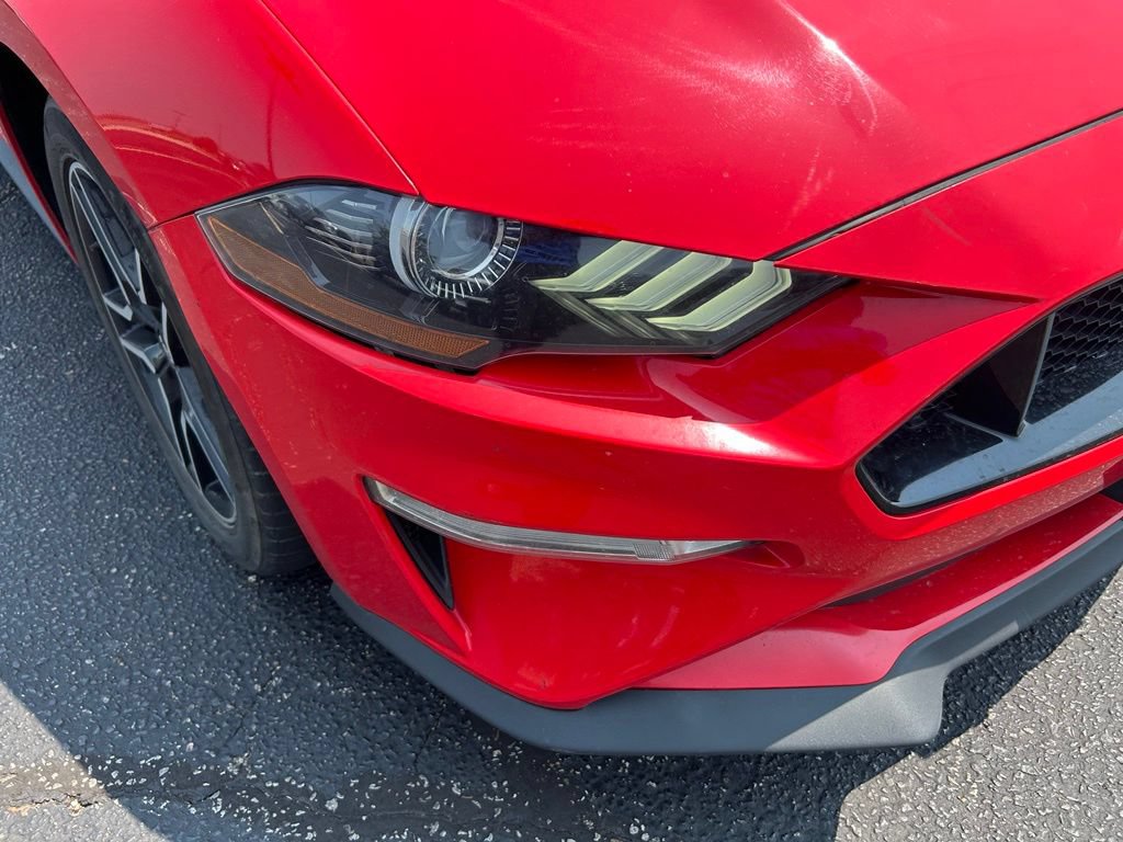 Used 2019 Ford Mustang GT Premium RWD image 3