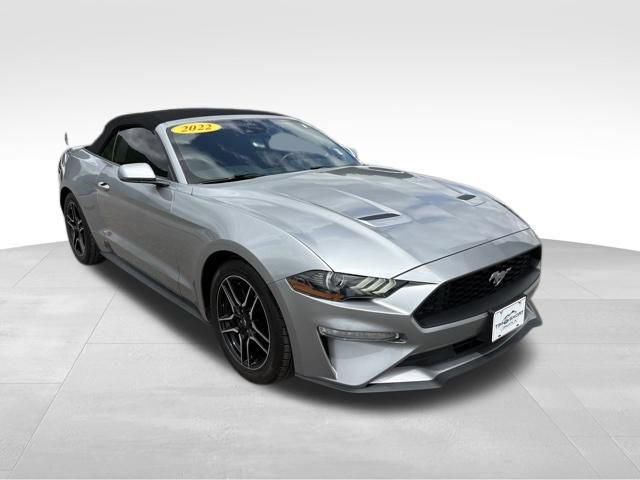Used 2022 Ford Mustang Premium RWD image 8