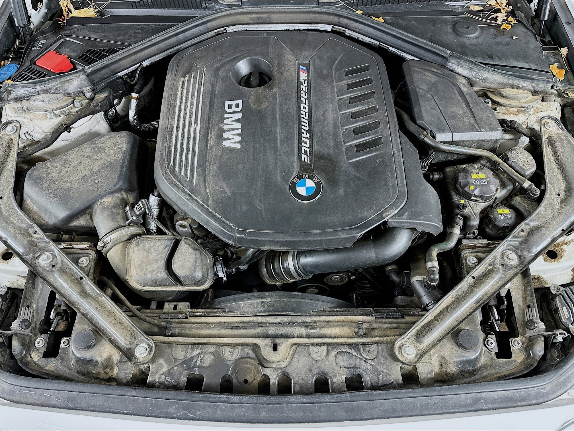 Used 2019 BMW M240i xDrive Convertible w/ Premium Package image 33