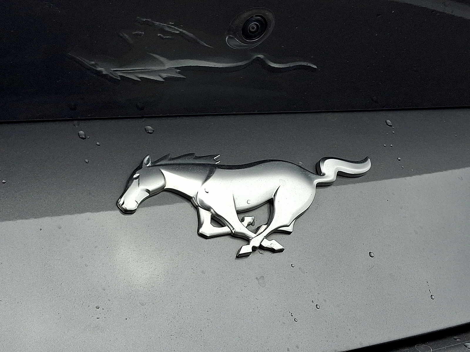 Used 2024 Ford Mustang EcoBoost Fastback image 31