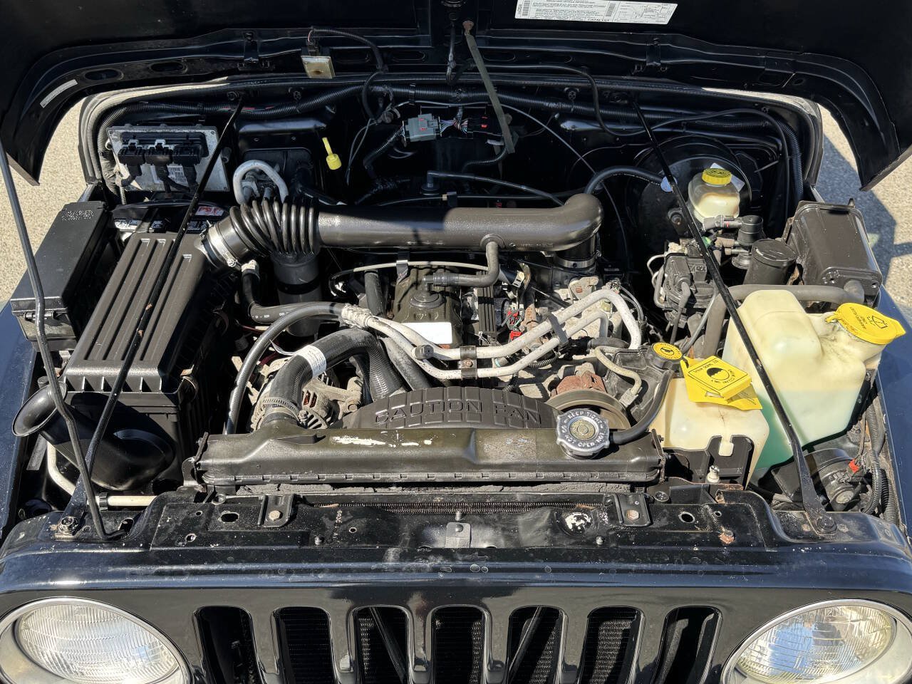Used 2002 Jeep Wrangler Sport AWD/4WD image 22