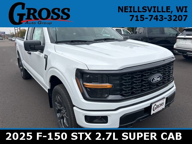 New 2025 Ford F150 STX image 1