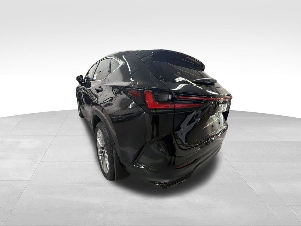 New 2026 Lexus NX 350 AWD w/ Accessory Package (2T) image 6