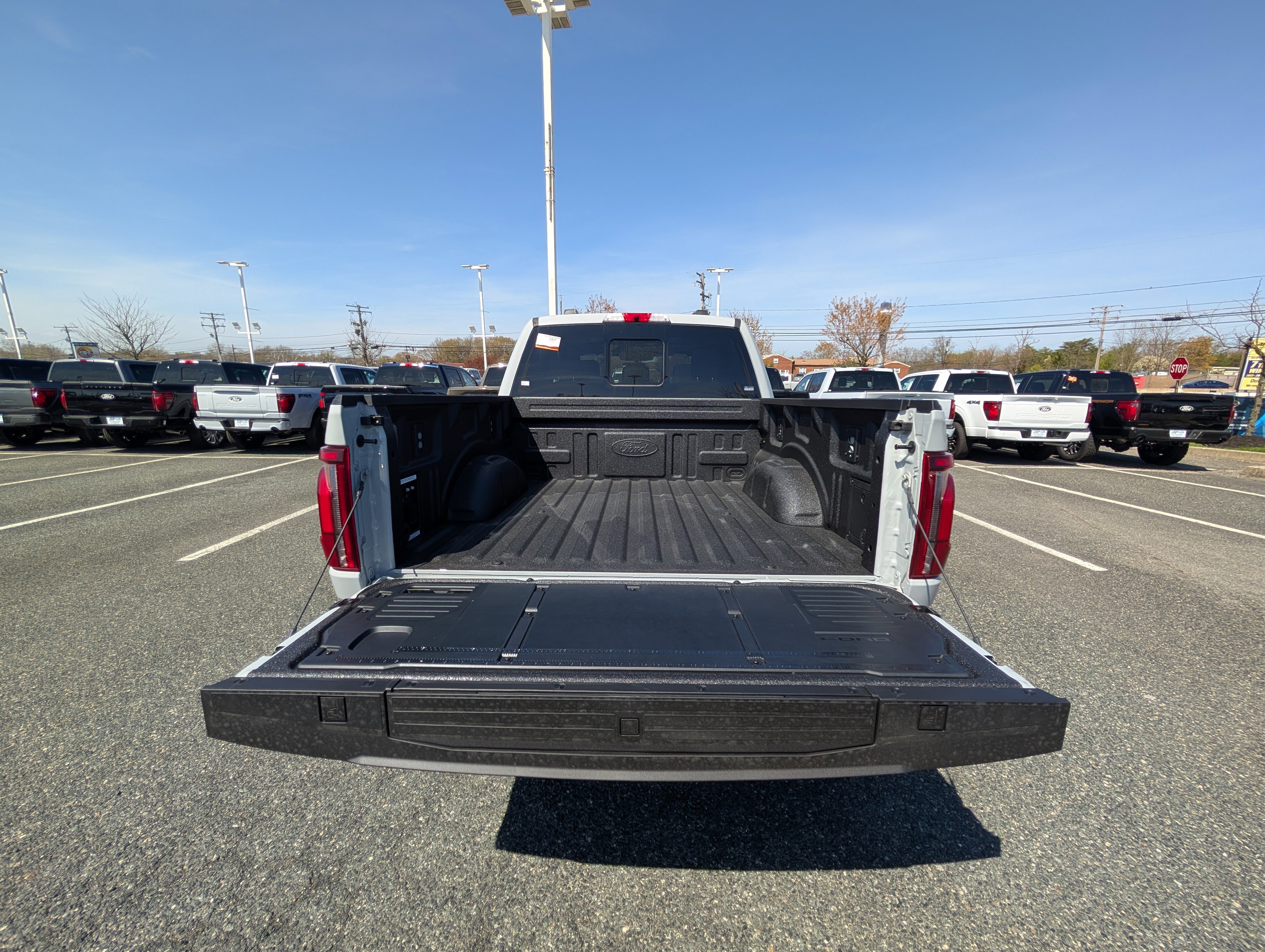 New 2026 Ford F150 Platinum image 8