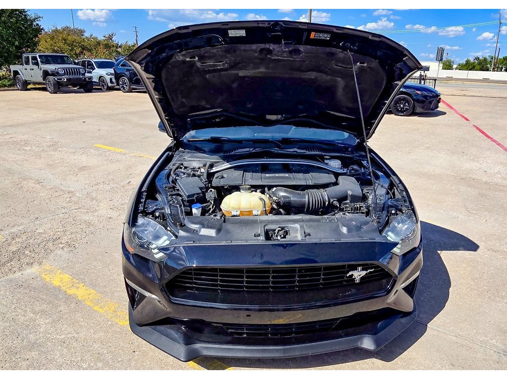 Used 2021 Ford Mustang GT Premium w/ Equipment Group 401A RWD image 41