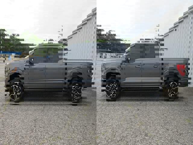 Certified 2023 Ford F150 XLT w/ Equipment Group 301A Mid image 4