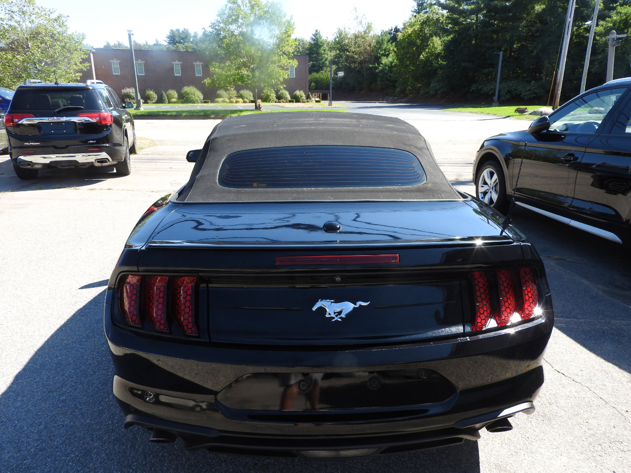 Used 2018 Ford Mustang Premium w/ Equipment Group 201A image 6