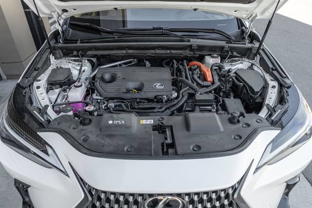 Used 2025 Lexus NX 350h AWD w/ Cold Area Package image 16