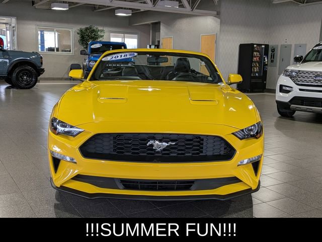 Used 2018 Ford Mustang Premium w/ Equipment Group 201A RWD image 3