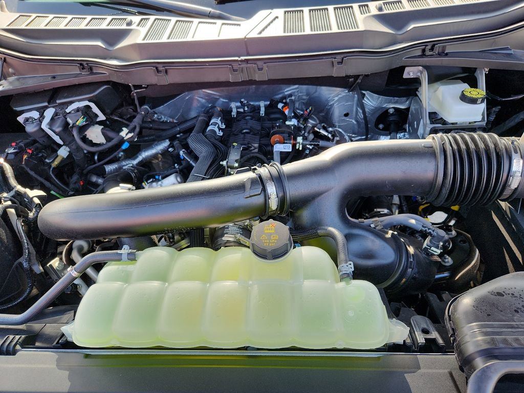 New 2026 Ford F150 XLT w/ Equipment Group 302A MID image 15