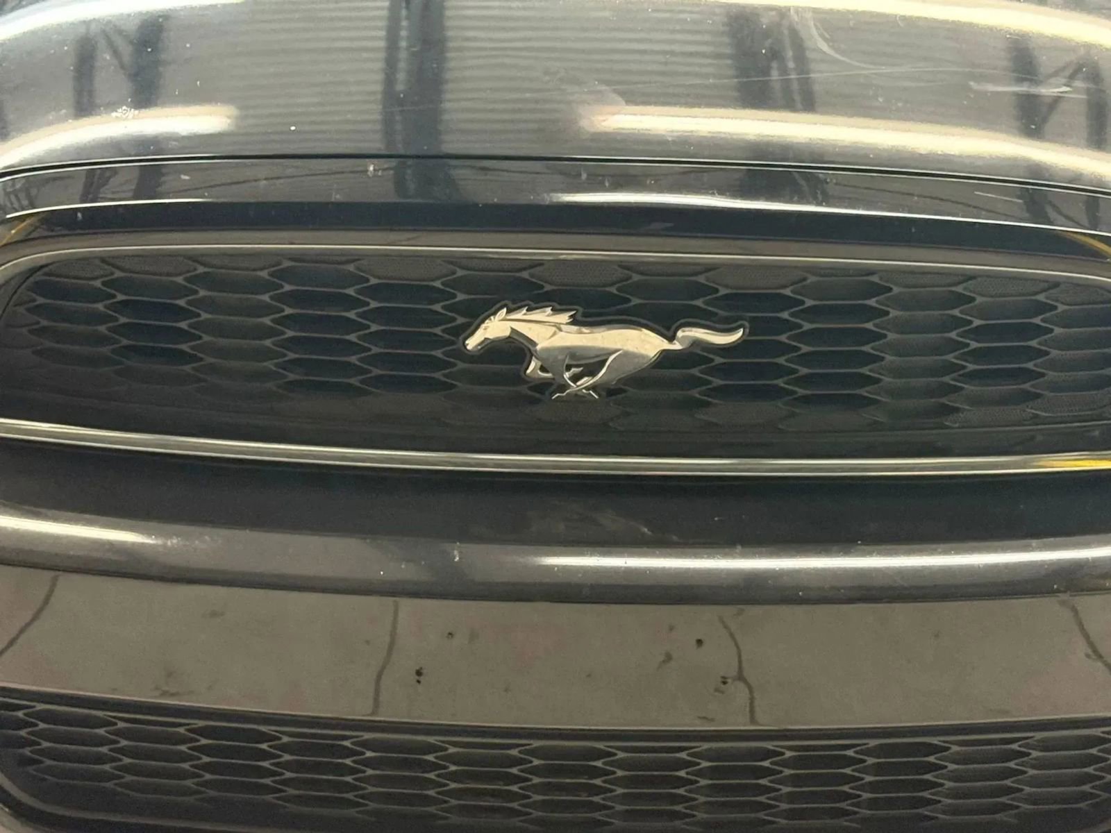 Used 2014 Ford Mustang Premium image 5