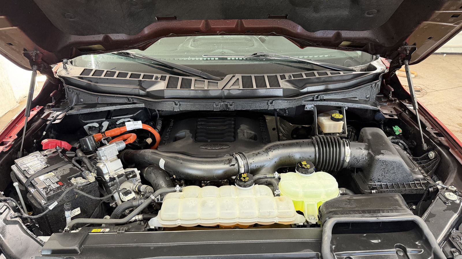 Used 2021 Ford F150 XLT w/ Equipment Group 302A High image 24