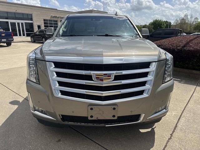 Used 2019 Cadillac Escalade Luxury image 2